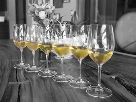 6 Must Try Paso Robles White Wines.